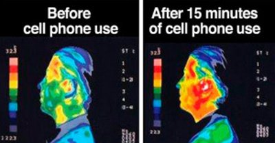 cell phone radiation