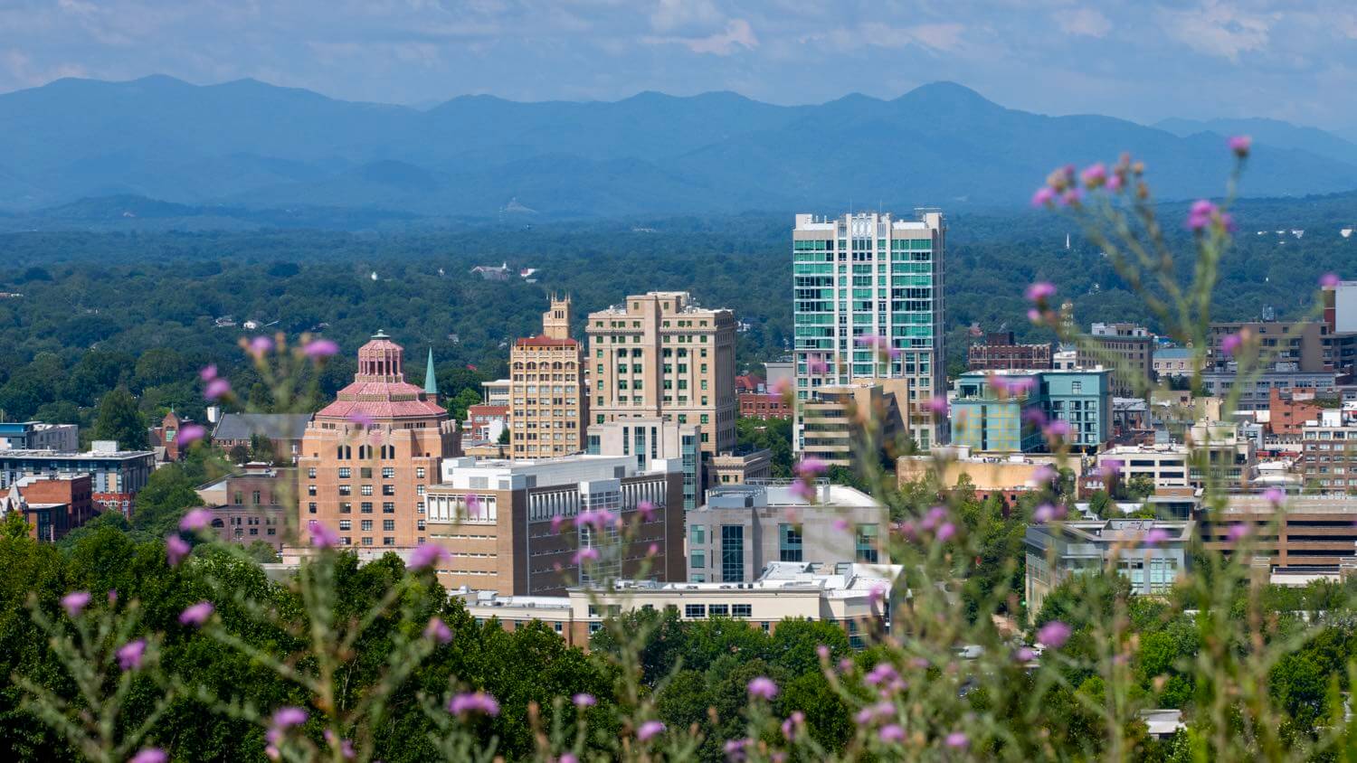 Downtown Asheville, North Carolina skyline against the Blue Ridge Mountains with wildflowers in the foreground &mdash; EMF radiation testing and shielding help for Asheville homes