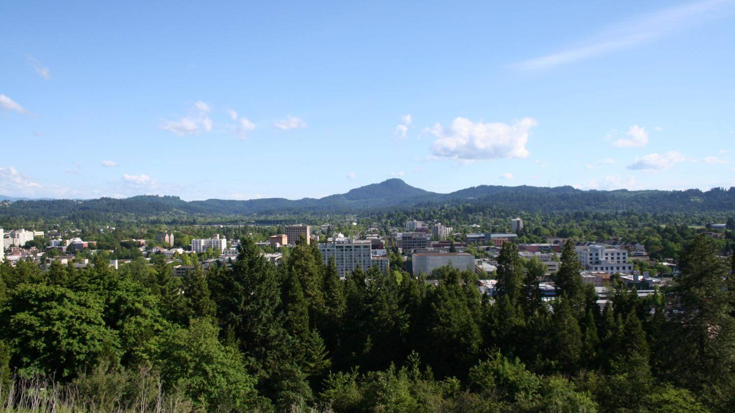 Eugene, Oregon in its forested valley with a butte behind, seen from Skinner Butte — EMF radiation testing and shielding help for Eugene homes